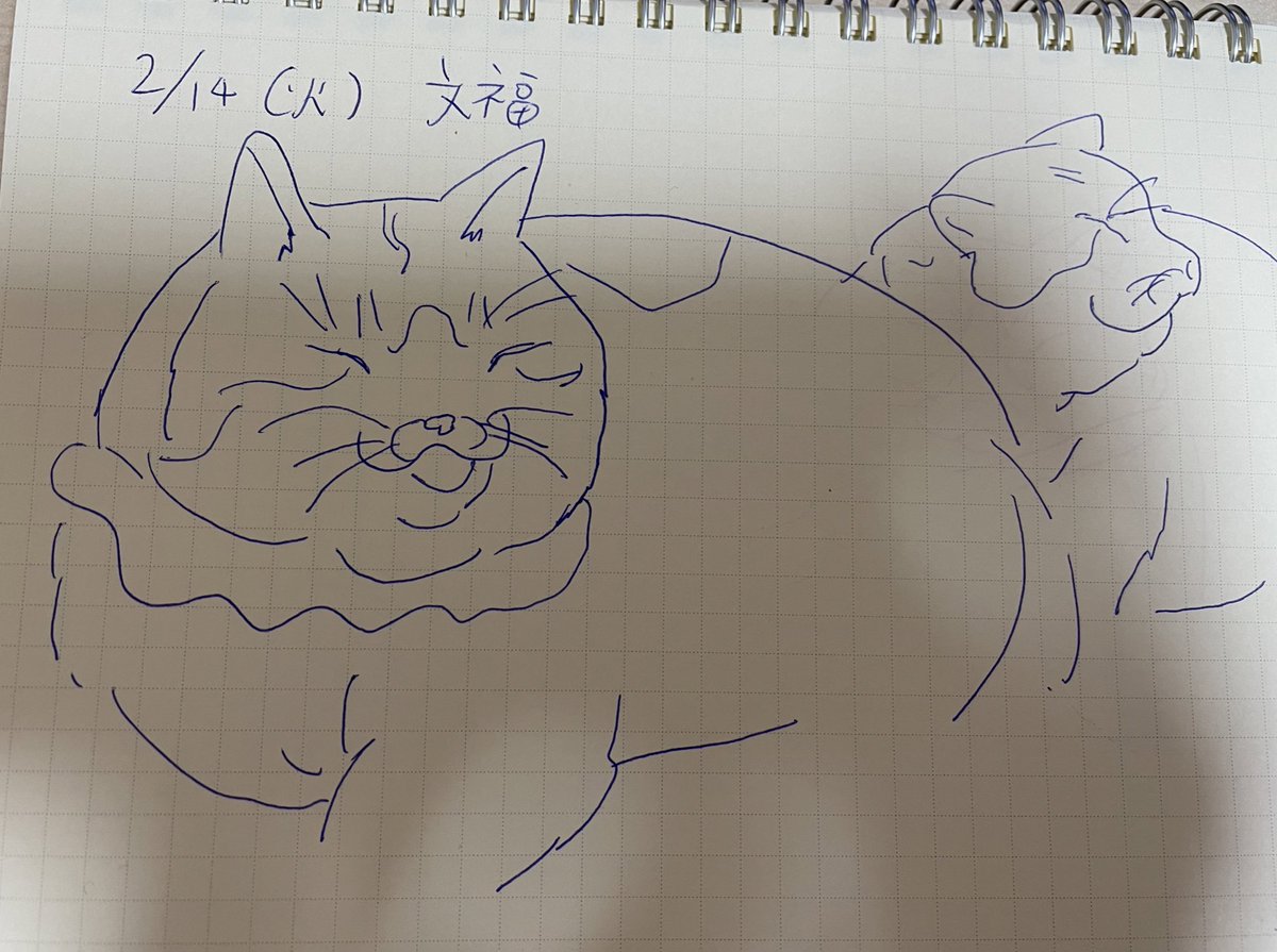 #逆襲の日記

家に保護猫のぶんぶくがやってきた
とても人懐っこい猫で落ち着いた子だ
一緒に過ごしながら似顔絵を描いて見せたら「俺こんな太ってるの?」というような顔をしていた。
誇張しすぎた。 