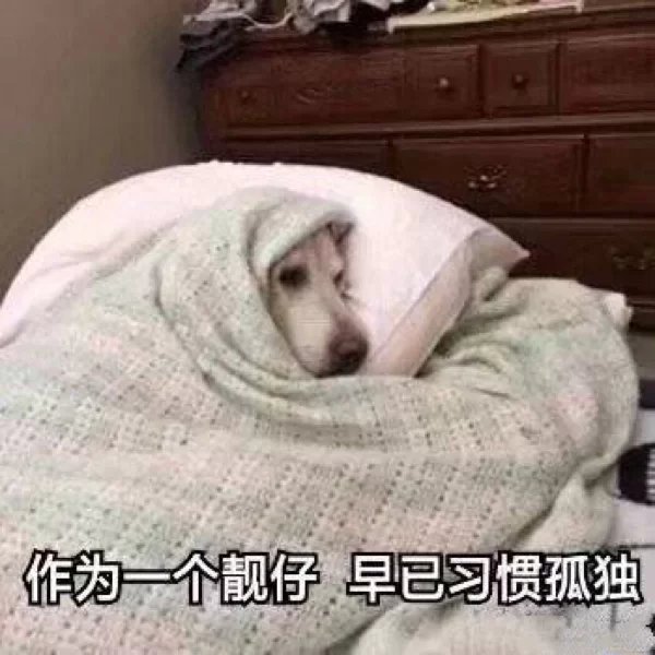 fxshly1999's tweet photo. 这样的垃圾桶哪里才会有！害的我今天晚上特意去瞅了瞅垃圾桶 (／_＼)大怨种
#济南 #济南同城 https://t.co/xOVFBkS0G1