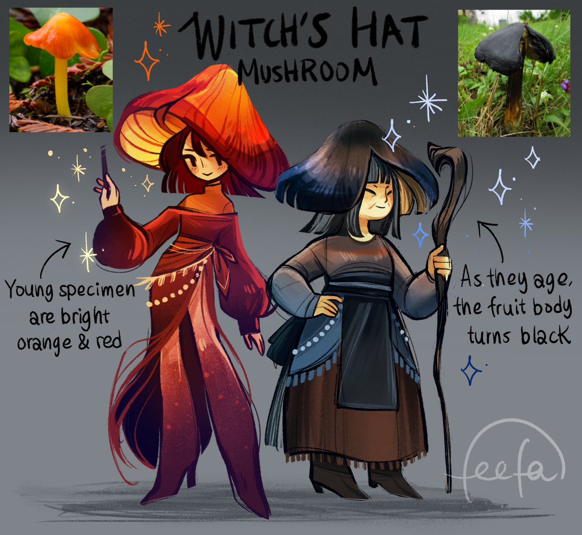 feefal_'s tweet photo. Witch’s hat, a mushroom that changes color with age❤️🧡🖤 https://t.co/fHB9gbnQpA