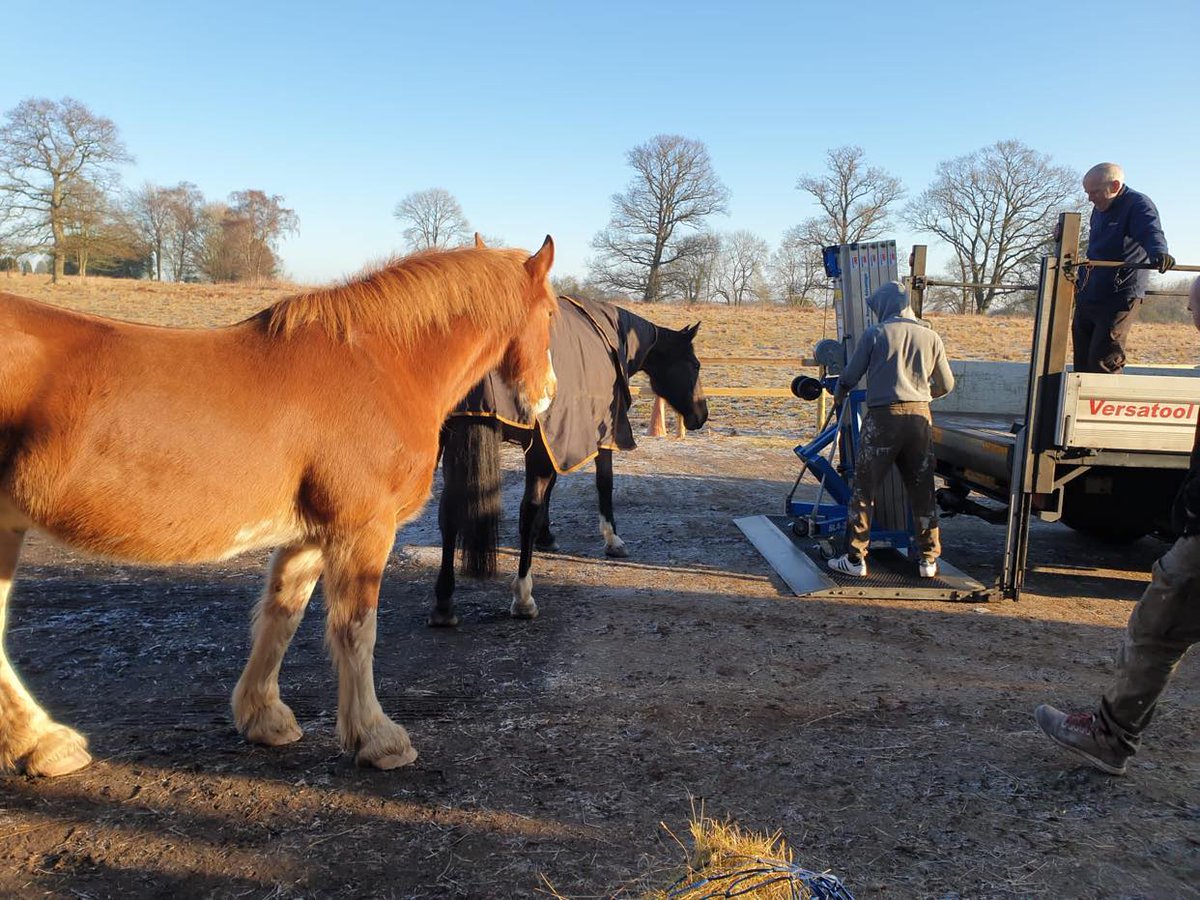 Equine Therapy Center tweet media