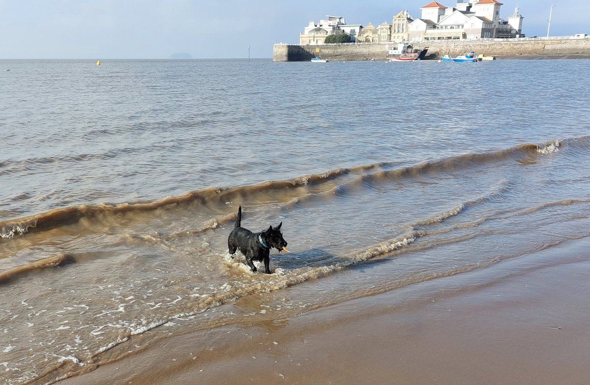 RoccoGoode's tweet photo. Today I had my first dip of the year #livingmybestlife 🥰 https://t.co/bKwXCSxU9R