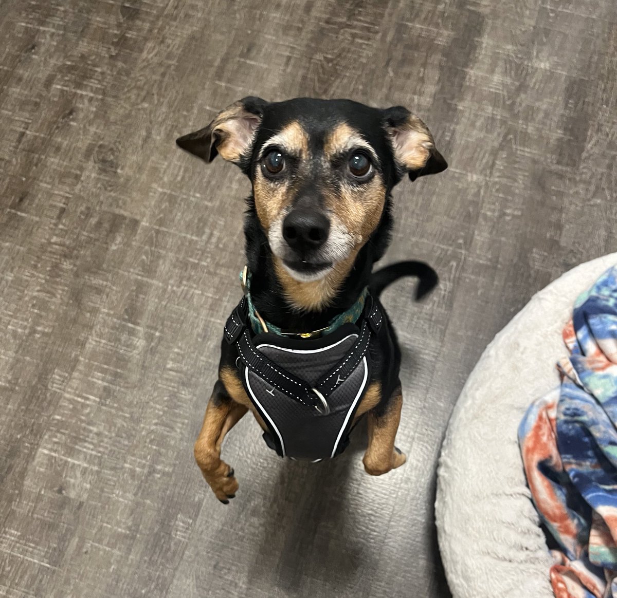 He’s the new <a href="/TheJaxTrib/">The Tributary</a> hire