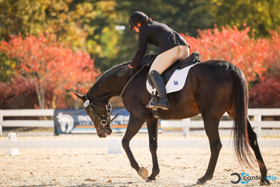 Retired Racehorse Project tweet media