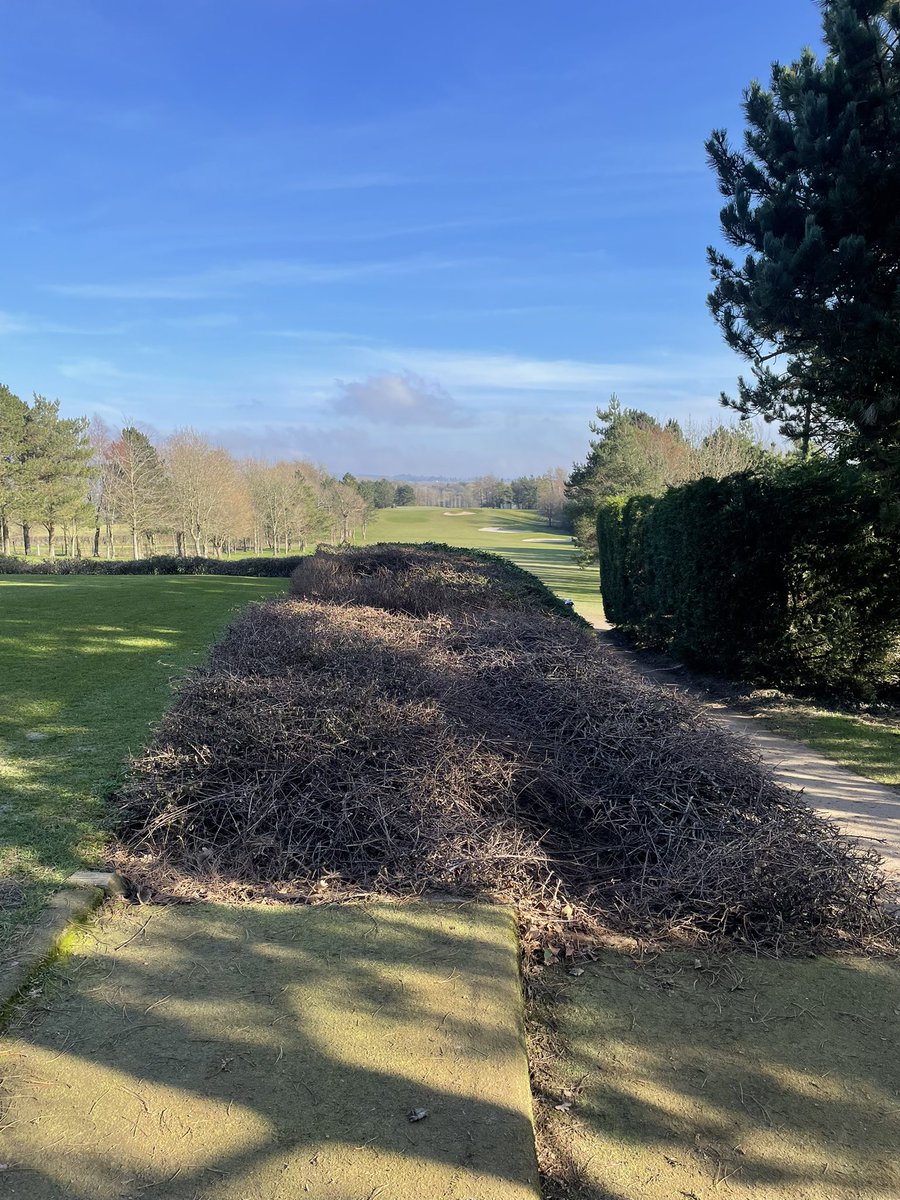 gary_priestley's tweet photo. Out on the golf course just about to tee off on the feature 8th hole at #Dainton and my phone goes ping ping ping means only thing we have a winner 🥇
#ARDERACROSS 20/1 #boom
#belucky well done members
#thehappypunter https://t.co/kWyBwgwssa