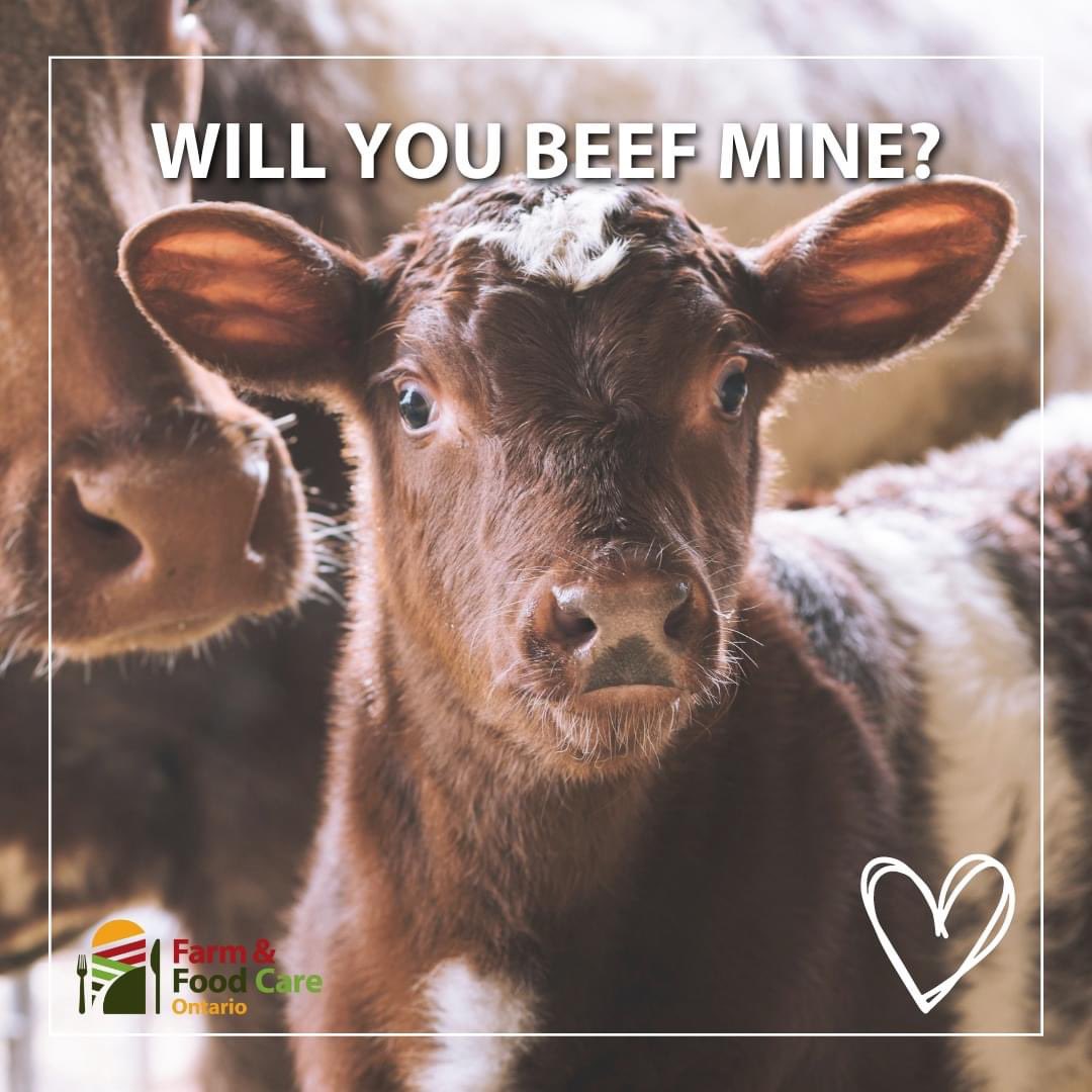 JMort95's tweet image. Happy ❤️Valentines❤️ Day!
#eatsteak #willyoubeefmine #HappyValentinesDay