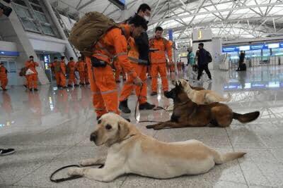 domdyer70's tweet photo. The heroes return home their work is done but they will not be forgotten #TurkishEarthquake https://t.co/vIfxZJ3QV6
