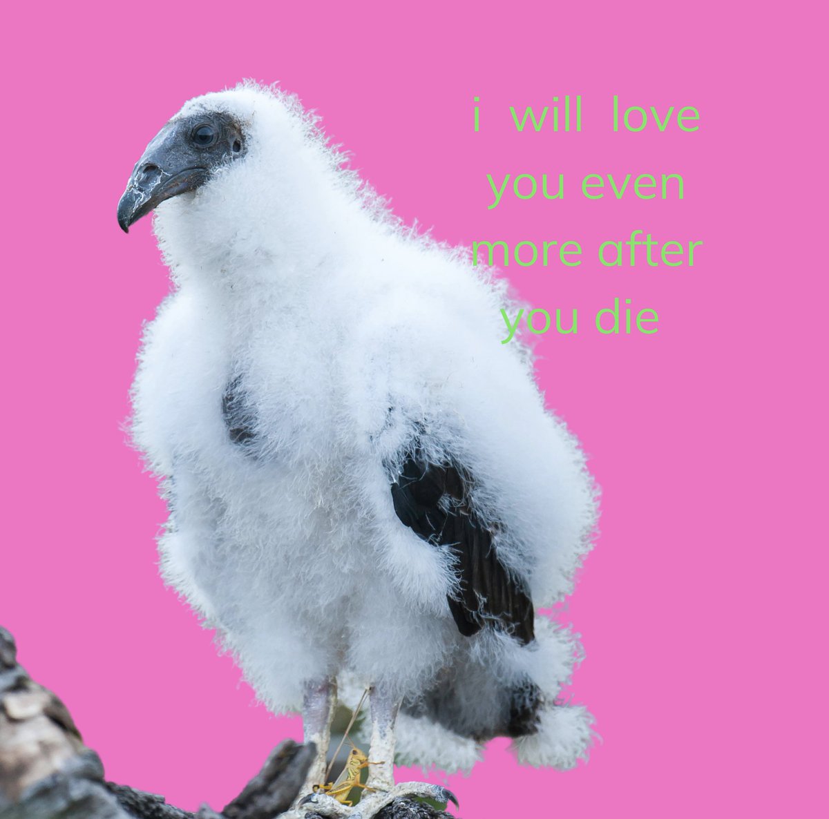 send this to ur crush,