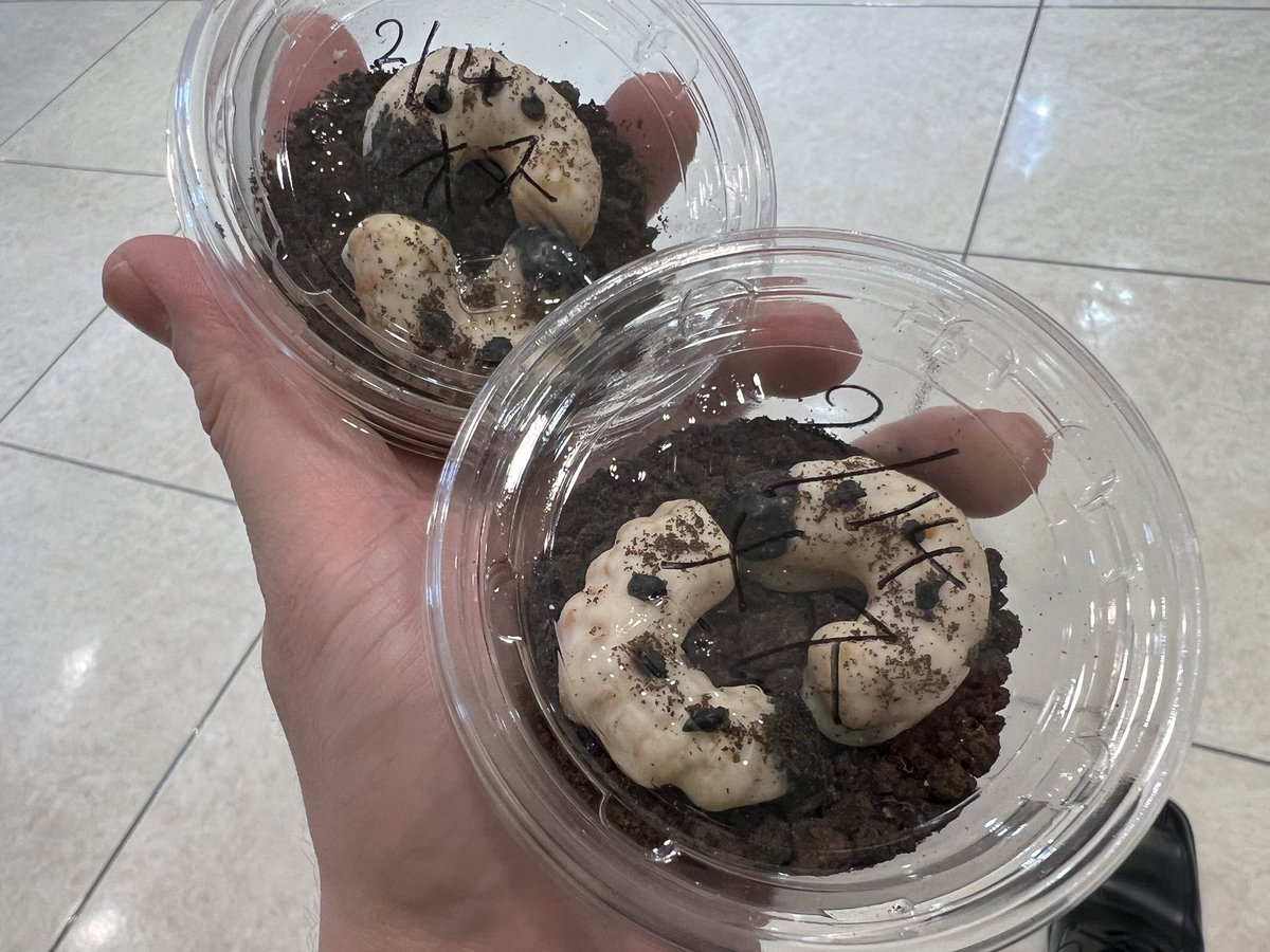 今日はバレンタインという事で
生徒から「カブトムシの幼虫」を
模した手作りチョコレートを
頂きました🙇‍♂️！
リアルすぎてびっくりでした🥺