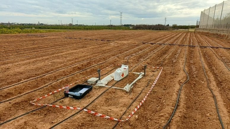 AguaCide's tweet image. Junto a @Bouquet_es sentando las bases para validar los protocolos de riego eficiente de @DigitalRiego financiado por @GVAavi.  Validando el nuevo lisímetro instalado con @AgrosolmenSL para medidas robustas de la evapotranspiración. @CSICval @CidEinvestiga  @IviaRiegos