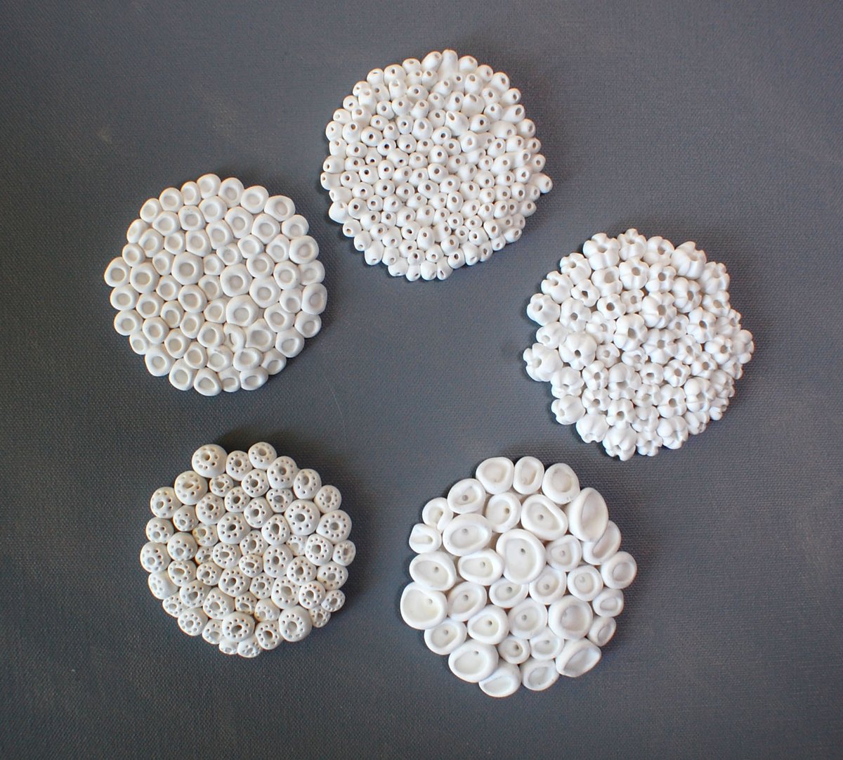 The white coral wall sculptures wall art set of 5 is the perfect accent for a beach house or perhaps a bathroom with an ocean inspired theme.The barnacles, finger coral and more are all inspired by endangered coral. etsy.me/3leOPa6 #coral #coralreef #reefart #art