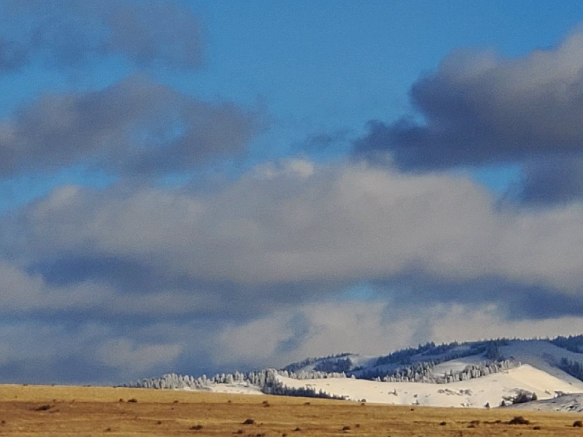 atThornhollow's tweet photo. Flocked trees and looming clouds when you look a little closer.
.
#landscapephotography #landscapecaptures #landscapephoto #cloudphotography #cloudscapes #treephotography #bluemountains #perspective #gratitude #getoutside #viewfromhere #stopandlookaround #pnw #easternoregon https://t.co/0PlKqW9Ksj