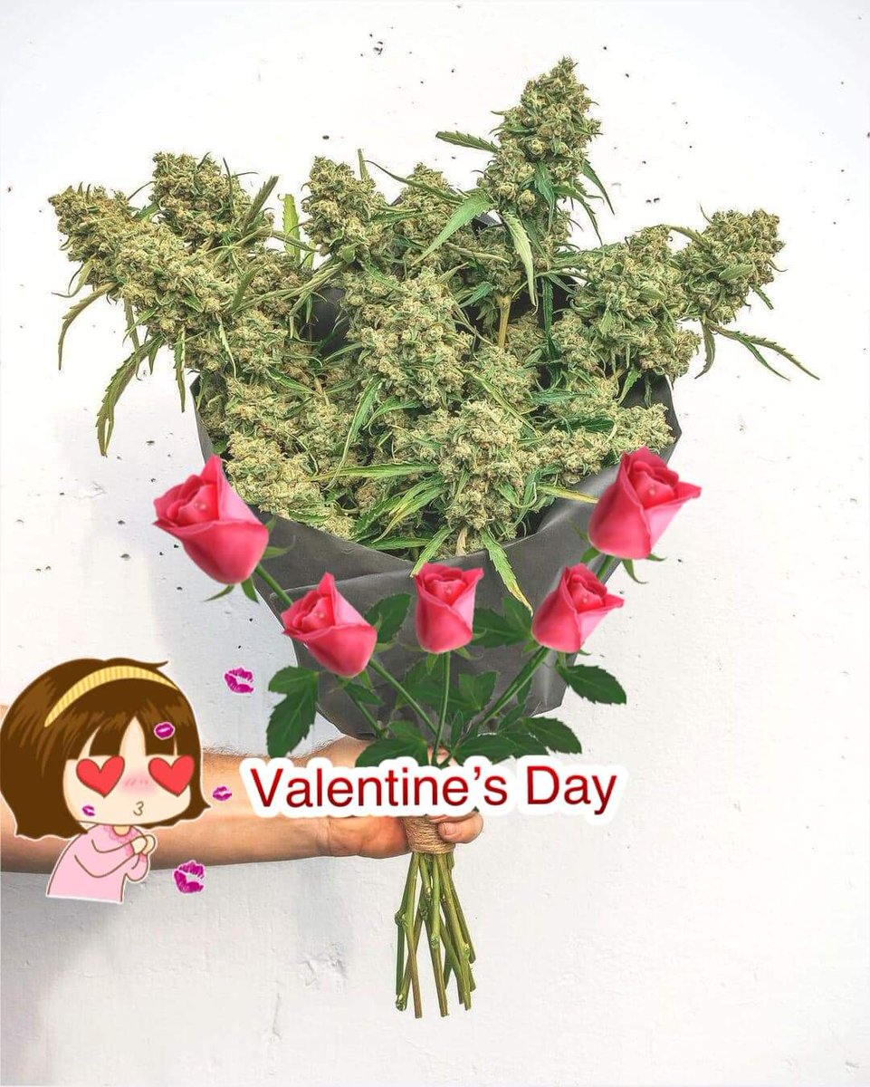 BChaopraya's tweet photo. #รักดูมันดิ #HappyVdayZeeNuNew #กัญชาเชียงใหม่ #กัญชาอัดแท่ง #OG #พันลําog https://t.co/xBUoBOlpLm