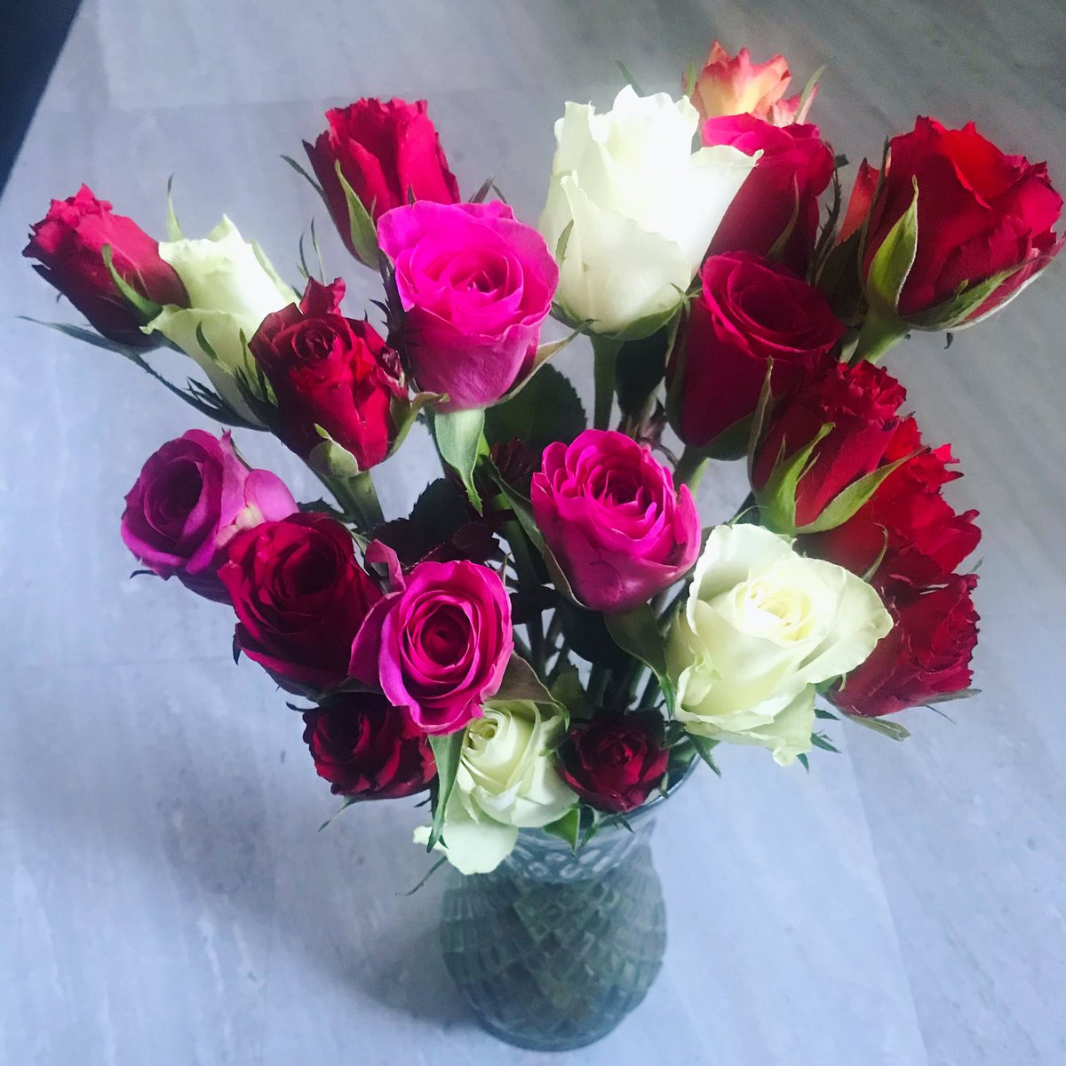 amandaMarie_Do's tweet photo. Happy Valentines 💗

#HappyValentinesDay 
#HAPPYVALENTINES2023 https://t.co/7DD8E3XuNX