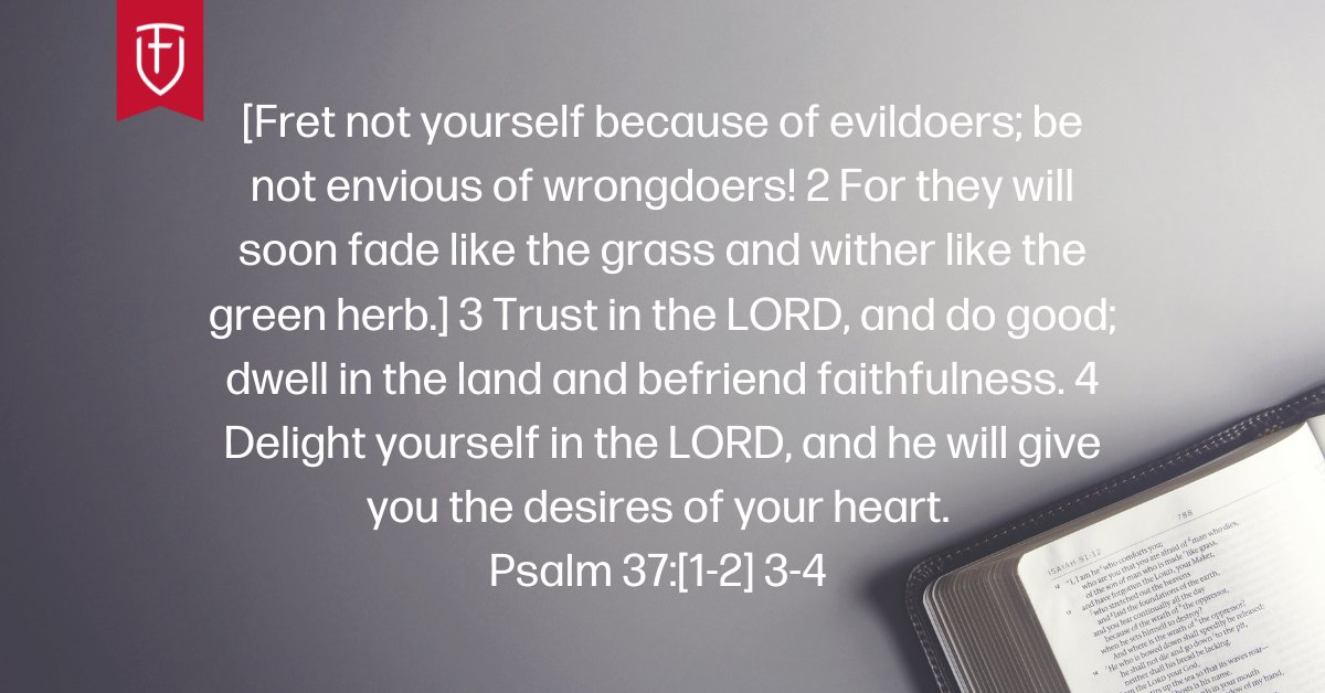 FighterVerses's tweet photo. God’s command to trust and delight in Him invites us into peace and provision. What kindness that God frees us from the burden of worry and the corrosive effects of envy. https://t.co/9dqp9AfysB https://t.co/UhPjbtrpf2