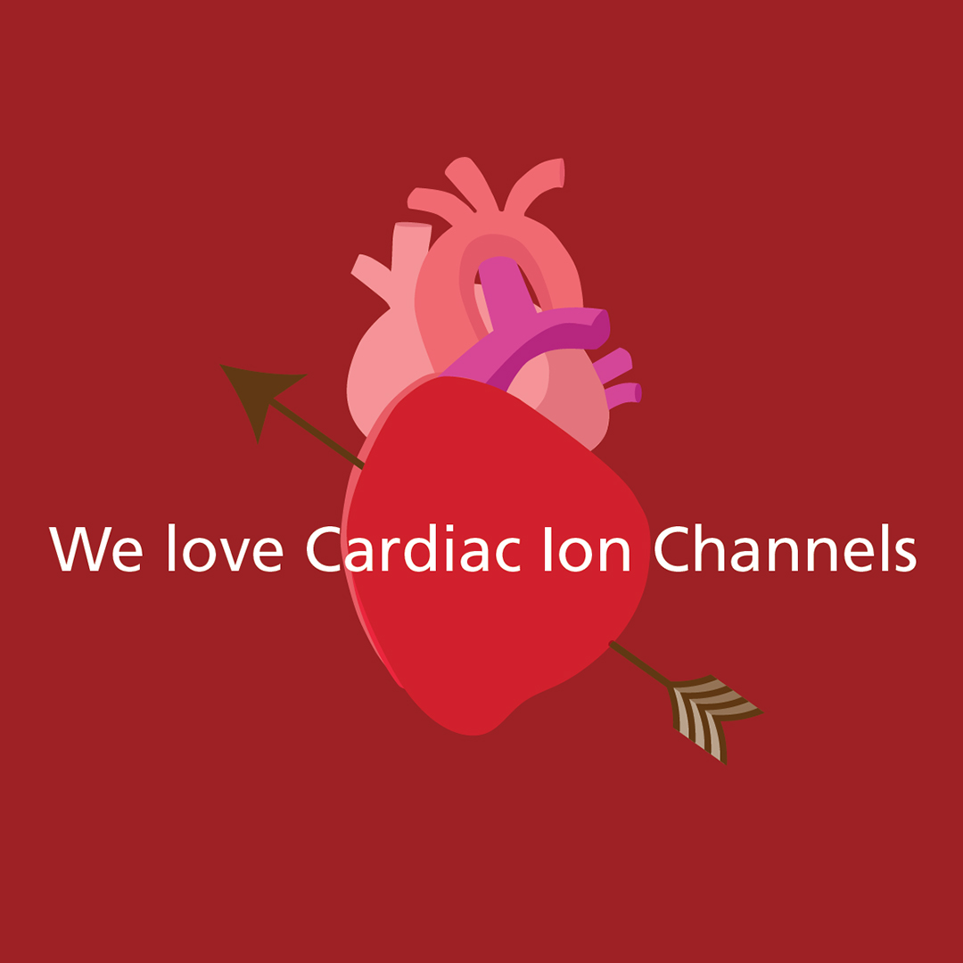 Automated #Electrophysiology is a critical technology in understanding cardiac #IonChannel currents and #CardiacSafety. Are you interested in #CardiacIonChannels and #AutomatedPatchClamp ?

We have gathered a list of #Cardiac relevant publications here: sophion.com/applications/c…