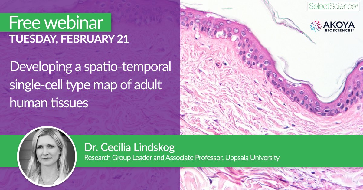 SelectScience (@selectscience) on Twitter photo Tune into our #webinar to hear <a href="/DrLindskog/">Cecilia Lindskog</a> discuss how scRNA-seq, spatial proteomics, and #machinelearning algorithms can be leveraged to generate high-resolution spatio-temporal maps of human tissues: bit.ly/3jZDsmc
<a href="/AkoyaBio/">Akoya Biosciences</a> #spatialbiology #proteomics <a href="/ProteinAtlas/">Human Protein Atlas</a> Tune into our #webinar to hear <a href="/DrLindskog/">Cecilia Lindskog</a> discuss how scRNA-seq, spatial proteomics, and #machinelearning algorithms can be leveraged to generate high-resolution spatio-temporal maps of human tissues: bit.ly/3jZDsmc
<a href="/AkoyaBio/">Akoya Biosciences</a> #spatialbiology #proteomics <a href="/ProteinAtlas/">Human Protein Atlas</a>