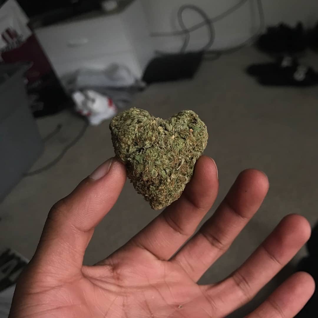 CannabisVirtuaI's tweet photo. https://t.co/puXnNBrgNN