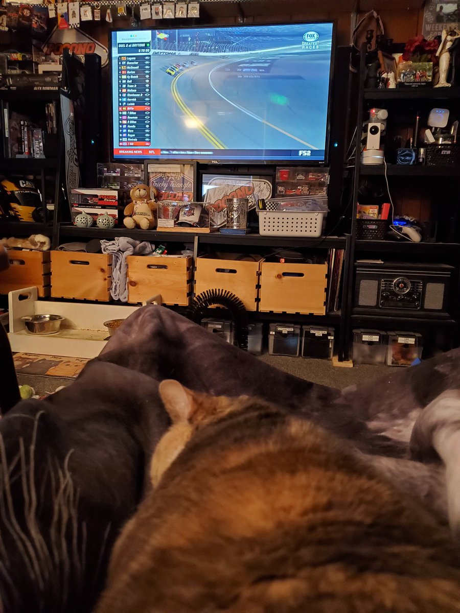 j_anselowitz's tweet photo. #nascarkitty WAS watching the replay of last year's duel on Fox... made it to 6 to go in duel 2 and her head just dropped 🤣 https://t.co/Yv0RrmzUPK