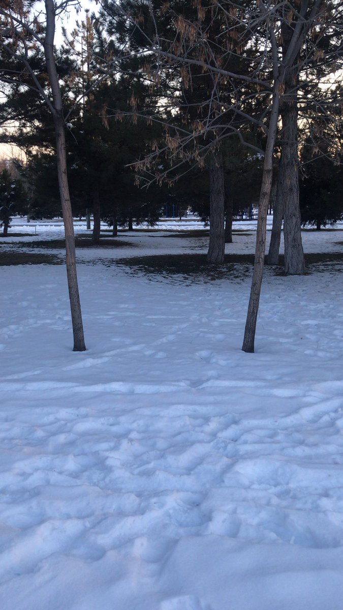 Son durak. Buradan sonra ev…
