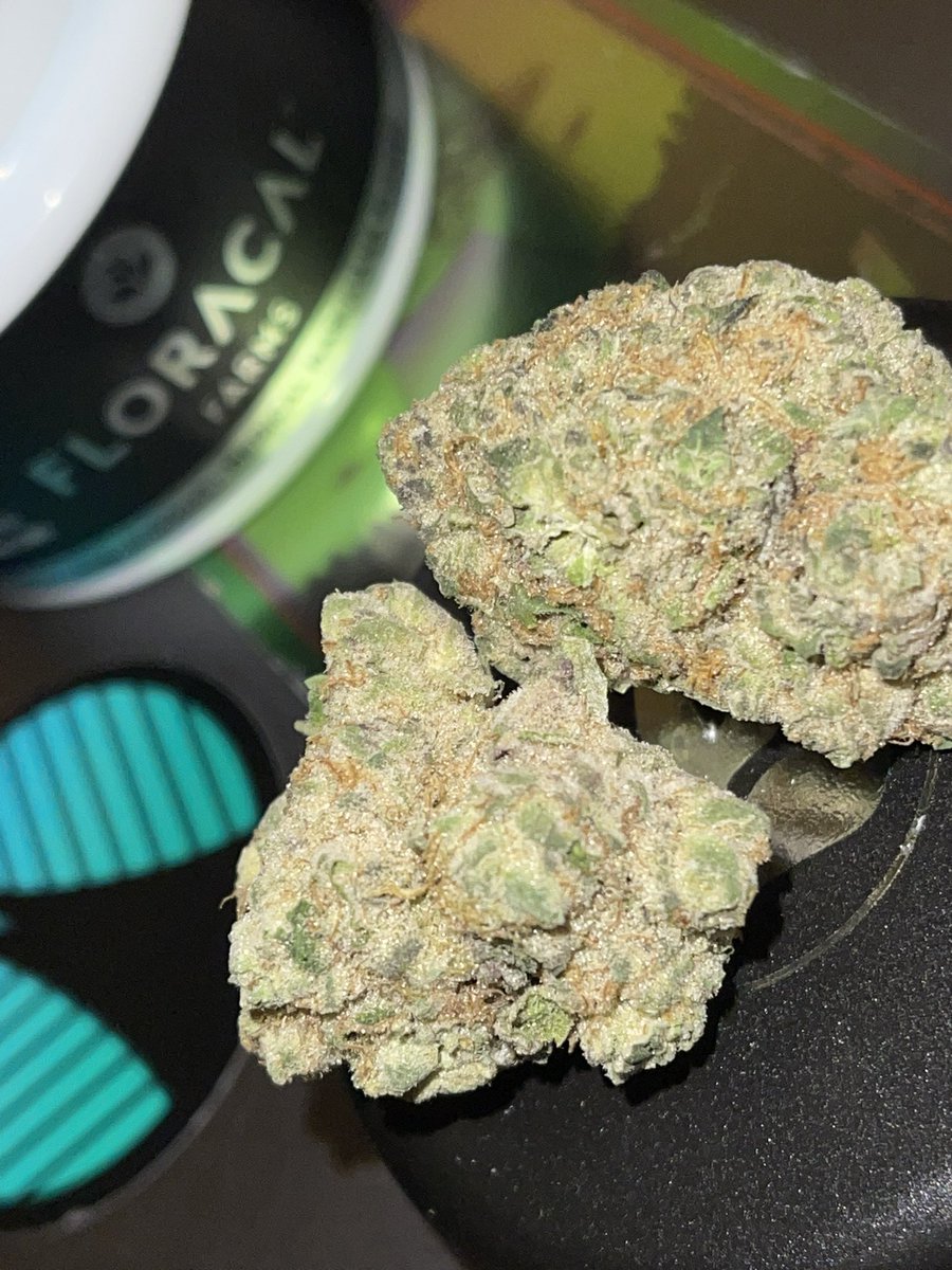 itslamilam's tweet photo. We say YES to weed 💚 it’s true indeed
#KushQueen✨🍃💨 #ReeferKeeper
#MARYJANE #stonerbabes #Weedmob #WeedLovers #Mmemberville https://t.co/TviGP72l4a