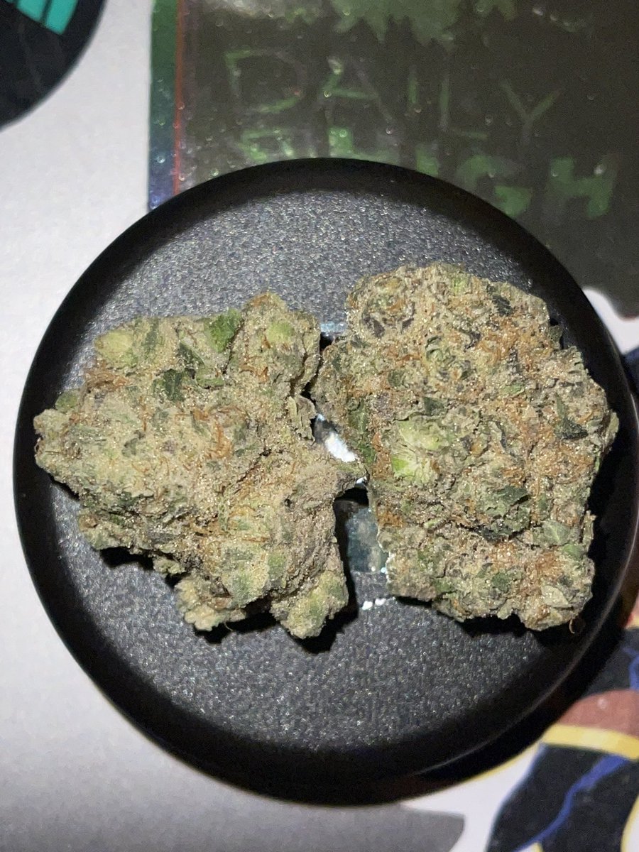 itslamilam's tweet photo. We say YES to weed 💚 it’s true indeed
#KushQueen✨🍃💨 #ReeferKeeper
#MARYJANE #stonerbabes #Weedmob #WeedLovers #Mmemberville https://t.co/TviGP72l4a