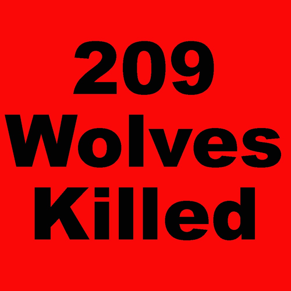 8 more Montana wolves killed as of yesterday. As of February 12, 2023 Montana has killed 206 wolves. This doesn't include poaching and other human-caused mortality. Join the fight to protect our wolves an wildlife.info@wolvesoftherockies.org
#mtfwp, #Takebackourwildlife
