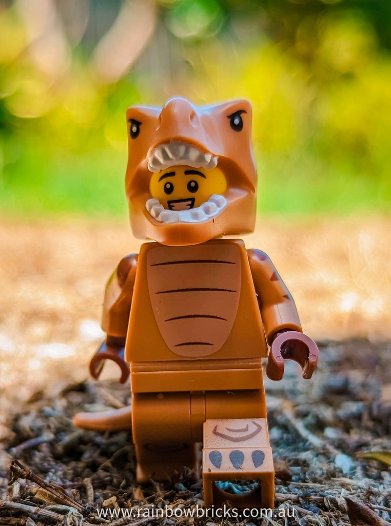 Rainbow_Bricks's tweet photo. Roaring good time
#RebuildtheWorld 😍🌈
.
Follow @rainbowbrickslug for more @LEGO content.
.
#rainbowbricks #LEGO #LEGOminifigs #LEGOphoto #LEGOfan #afol #LEGOfun #LEGOfans #legodino #trex #LEGOTrex #goodtimes https://t.co/UlrUZhRWWs