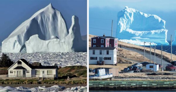 Iceberg Alley it took them 10,000 years to reach this destination; but you can get a flight!!  

buff.ly/3XguAWJ