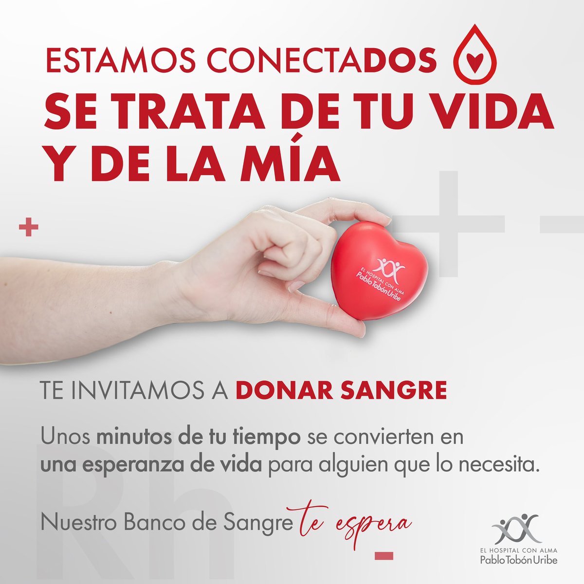 HPTU's tweet photo. Te necesitamos para darle una nueva oportunidad de vida a nuestros pacientes.

Acércate a nuestro Banco de Sangre de lunes a viernes de 7:00 a.m. a 6:00 p.m. y sábados de 7:00 a.m. a 1:00 p.m. o asiste a las jornadas de donación que realizamos en distintos puntos de la ciudad. https://t.co/J9Bm9sA9Up