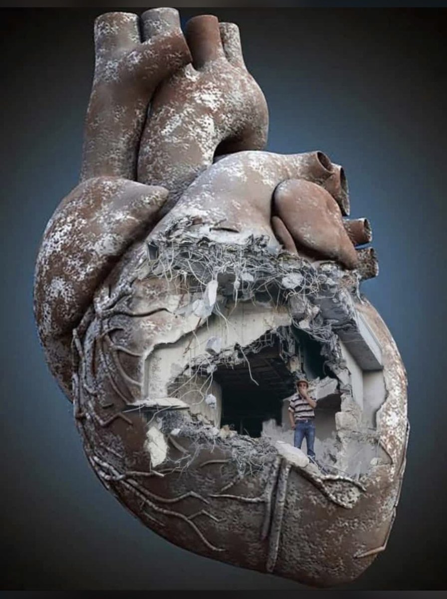 Tarık Tolga Sonat (@tarsonat) on Twitter photo 