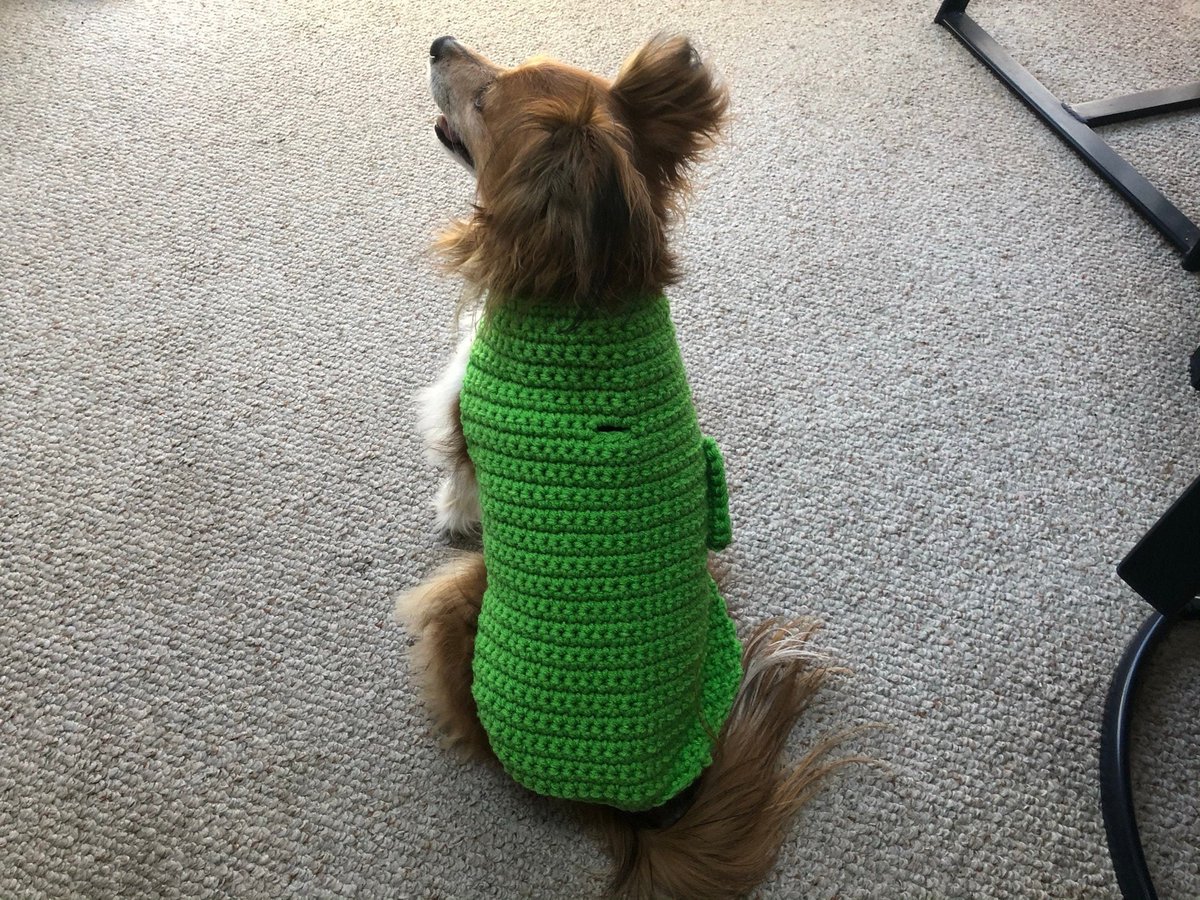 ChestnutCrochetShop.etsy.com Sharing from my #etsy shop: Bright Green Crocheted Dog Sweater, Small Dog Jacket, St Patrick's Day Dog Sweater, Pet Wear, Gift for Dog Lovers, Handmade Dog Coat etsy.me/3xmwJFT #green #smalldogsweater #smalldogjacket