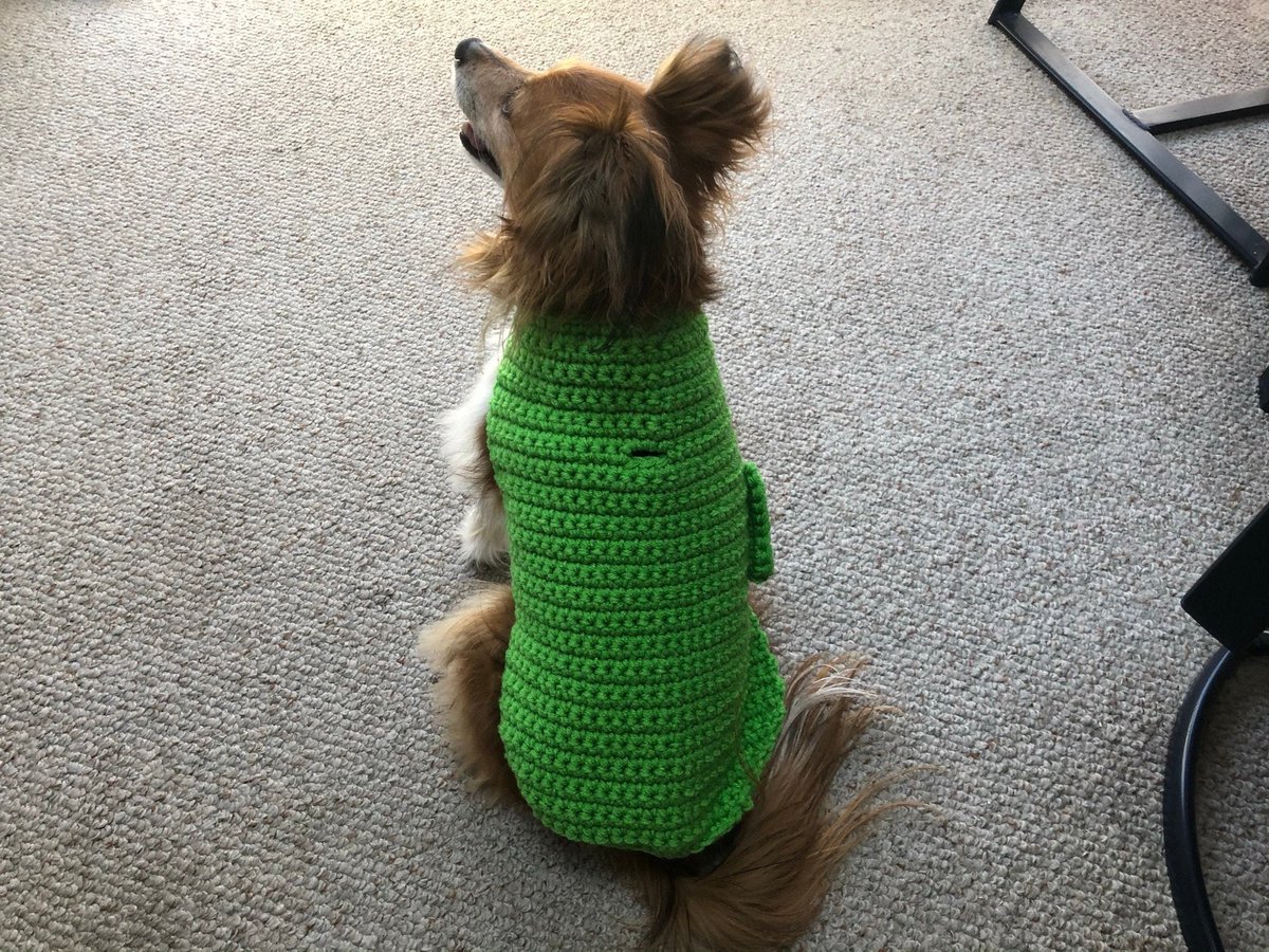 chestnutcrochet's tweet photo. https://t.co/naYmtgt4oZ

Sharing from my #etsy shop: Bright Green Crocheted Dog Sweater, Small Dog Jacket, St Patrick's Day Dog Sweater, Pet Wear, Gift for Dog Lovers, Handmade Dog Coat https://t.co/RtD1XS5lII #green #smalldogsweater #smalldogjacket https://t.co/NxVhzTa487