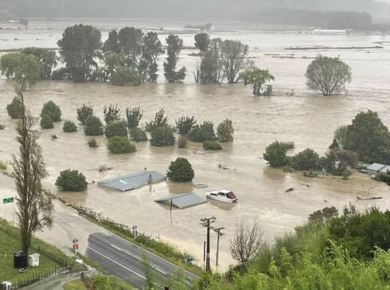 Vicky Gibson tweet media