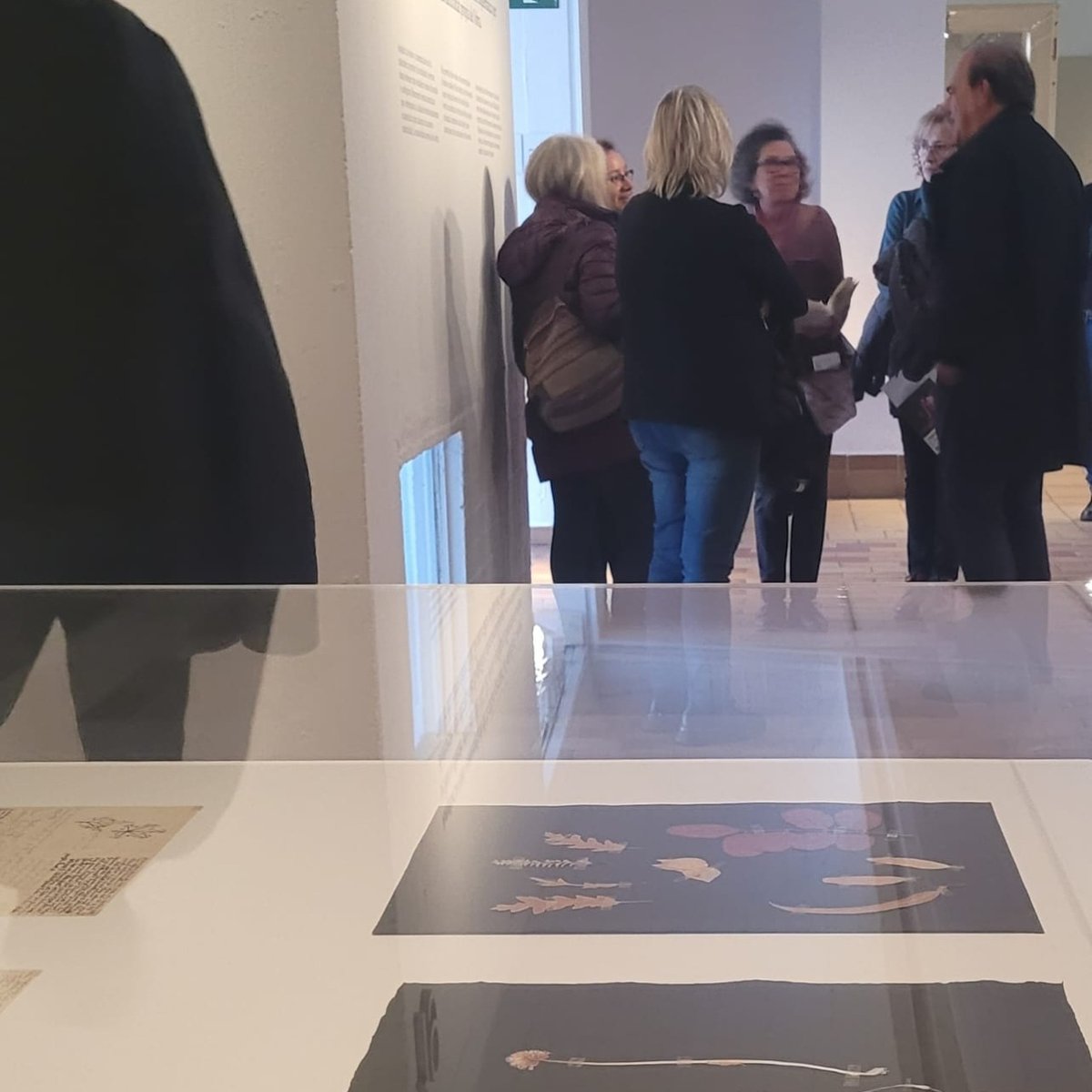 Divendres a la tarda, alumnes de l'Escola de Dibuix i de l'Escola de Ceràmica vam anar a visitar l'exposició temporal de Paul Klee a la Fundació Miró on vam poder veure obres de l'artista. Molt interessant!

#escoladibuixesplugues #escolaceramicaesplugues #iniciacióalapintura