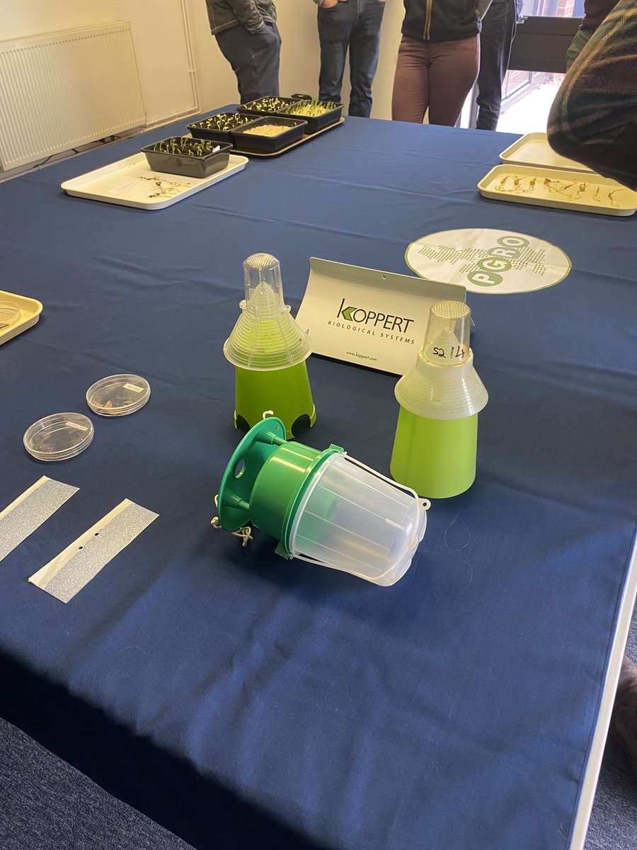 Crop Advisors tweet media