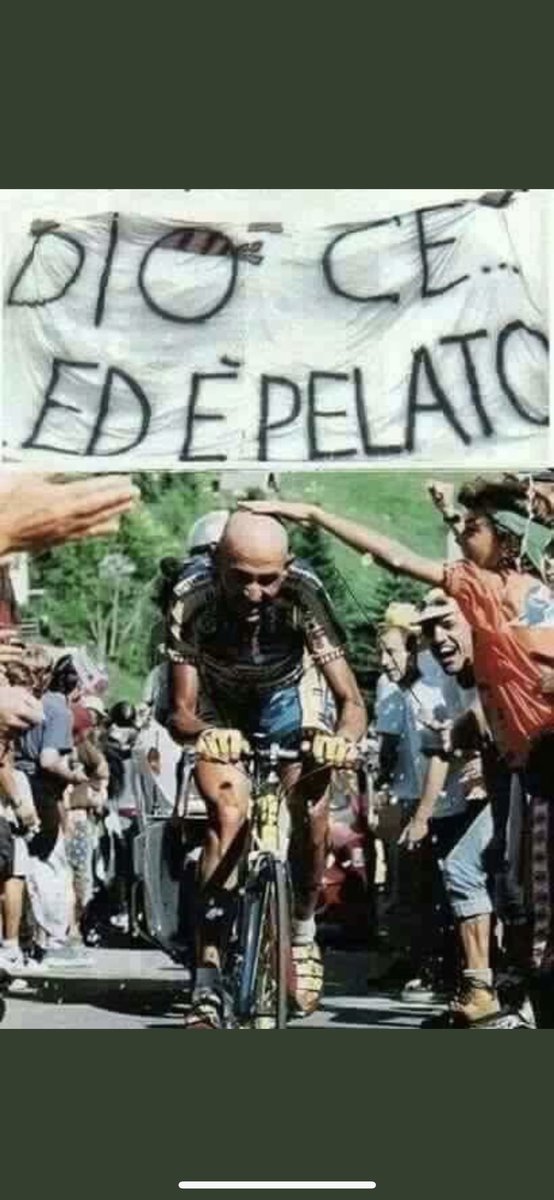 stenardo's tweet image. 