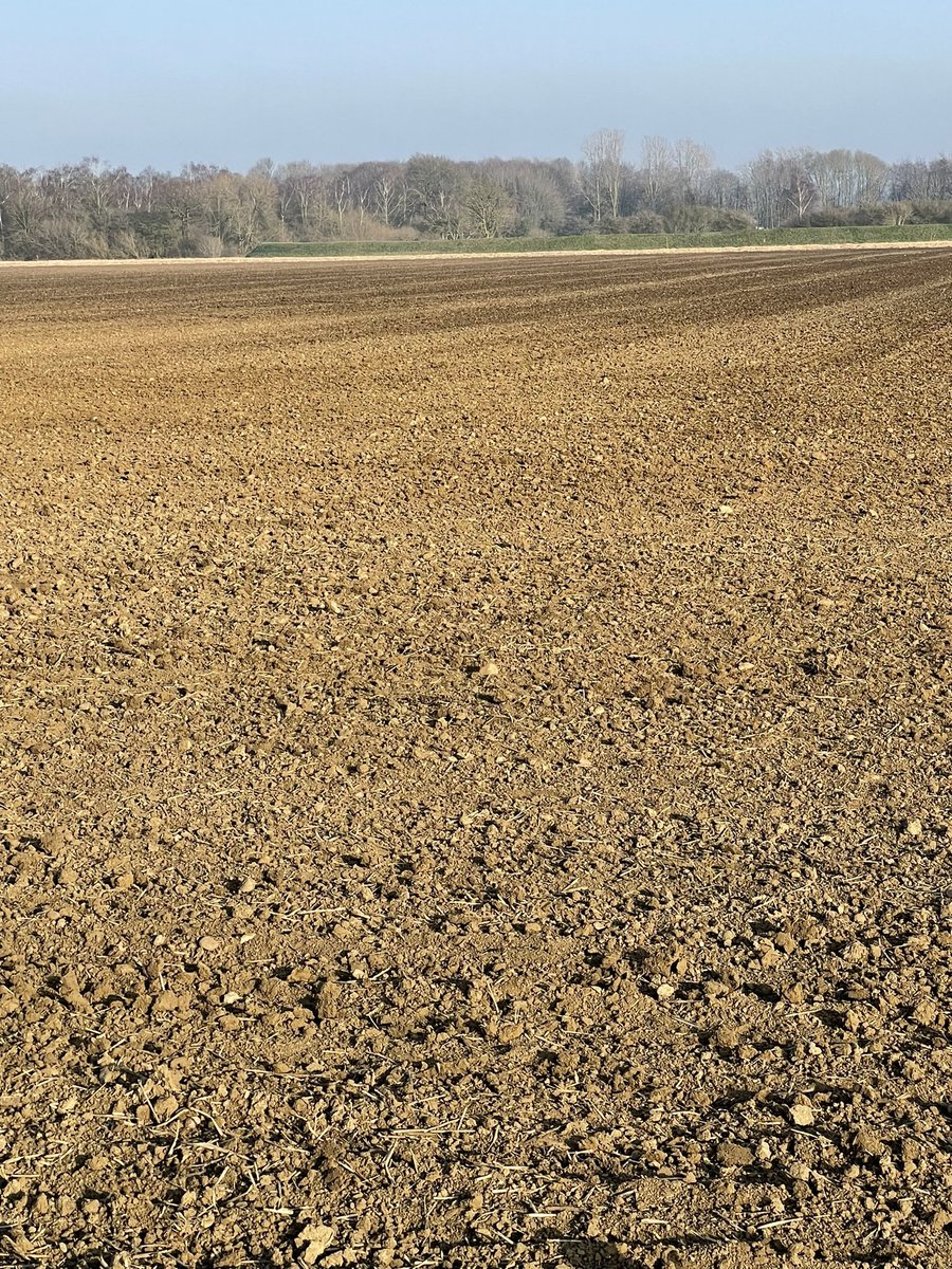 MasonBrucelee's tweet photo. One of the worst fields on the farm, and it has drilled fantastic today.  @VaderstadUK @MF_EAME @AGCOcorp https://t.co/MzLSO3Yn3A