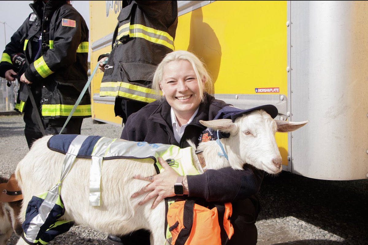 SFFDPIO's tweet photo. We can't wait for the Goat Valentines Day Fashion Show at Union Square Today starting at 4 PM! @CityGrazing https://t.co/mtsZ6cE91x