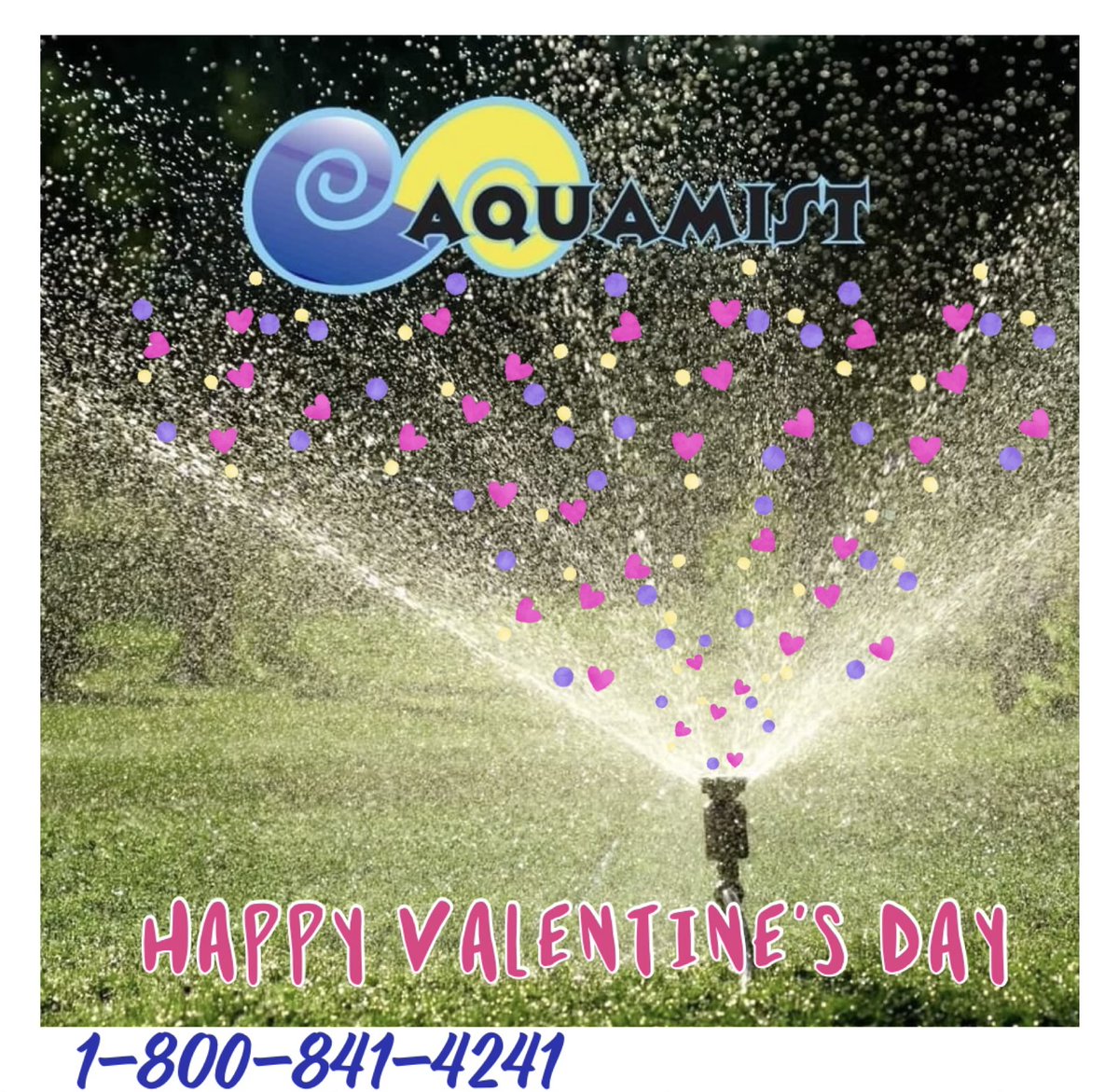 Happy Valentines Day!
#lawnsprinklers #irrigation #greengrass #springiscoming #sprinklersystem