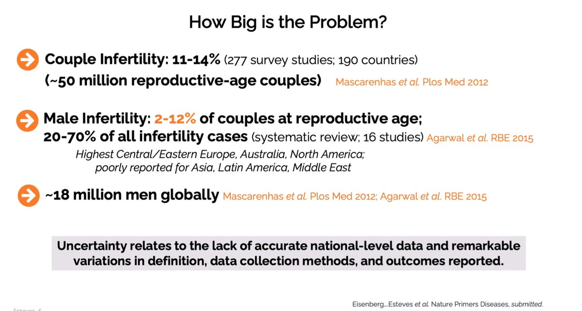 Sarah Martins da Silva (@smds_research) on Twitter photo Male infertility is a big problem: 2-12% couples affected, 20-70% all infertility cases, 18 million men globally. Why aren't we talking about this? <a href="/ExamenLab/">Examen</a> <a href="/them_ancave/">The ManCave</a> <a href="/toby_trice/">Toby Trice</a> <a href="/logixxpharma/">Michael Close</a> @CJDeJonge1 <a href="/AllanPacey/">Allan Pacey MBE</a> <a href="/clrbarratt/">Christopher Barratt FRSE</a> <a href="/DrMotility/">Jackson C K-B</a> <a href="/BritFertSoc/">BritFertSoc</a> Male infertility is a big problem: 2-12% couples affected, 20-70% all infertility cases, 18 million men globally. Why aren't we talking about this? <a href="/ExamenLab/">Examen</a> <a href="/them_ancave/">The ManCave</a> <a href="/toby_trice/">Toby Trice</a> <a href="/logixxpharma/">Michael Close</a> @CJDeJonge1 <a href="/AllanPacey/">Allan Pacey MBE</a> <a href="/clrbarratt/">Christopher Barratt FRSE</a> <a href="/DrMotility/">Jackson C K-B</a> <a href="/BritFertSoc/">BritFertSoc</a>