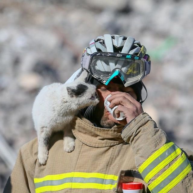 İsmi Enkaz'mış 🥺❤️