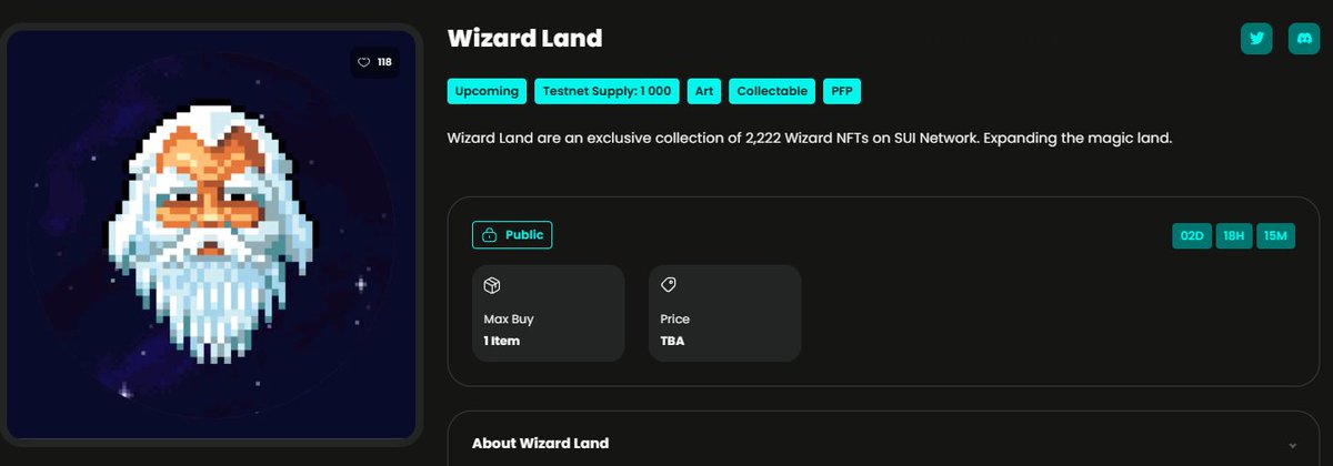Wizard Land tweet media