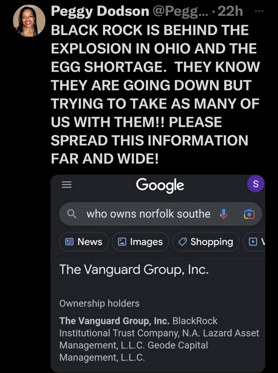 Digital Warrior tweet media