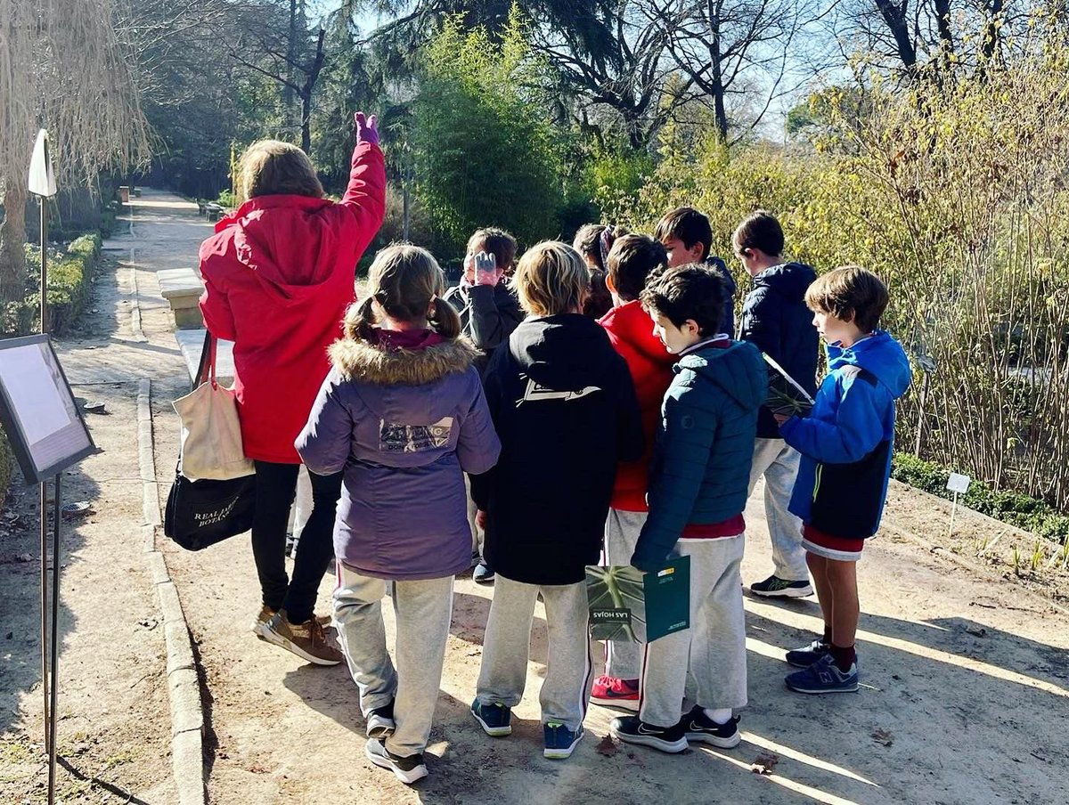 El alumnado de 3º y 4º de primaria ha disfrutado de una mañana en el Jardín Botánico disfrutando de la naturaleza que le rodea y conociendo los distintos tipos de hojas, así como los beneficios que estas nos aportan.