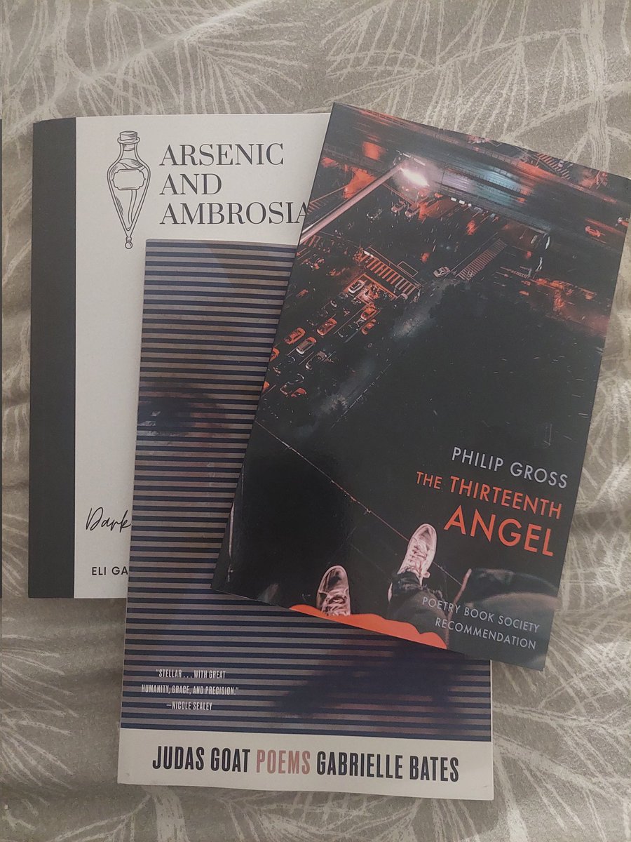 You know you're obsessed with poetry when you have a few poetry books outstanding and then two more land on pre-order!

Arsenic and Ambrosia, Eli Gardner 
The Thirteenth Angel, Philip Gross 
Judas Goat Poems, @GabrielleBates 

#Poetry #ReadingPoetry #BestCatchUp #ThenEditing