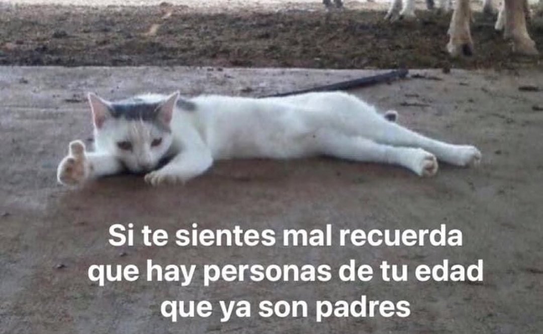 piña sin pizza (@skereunpesado) on Twitter photo 
