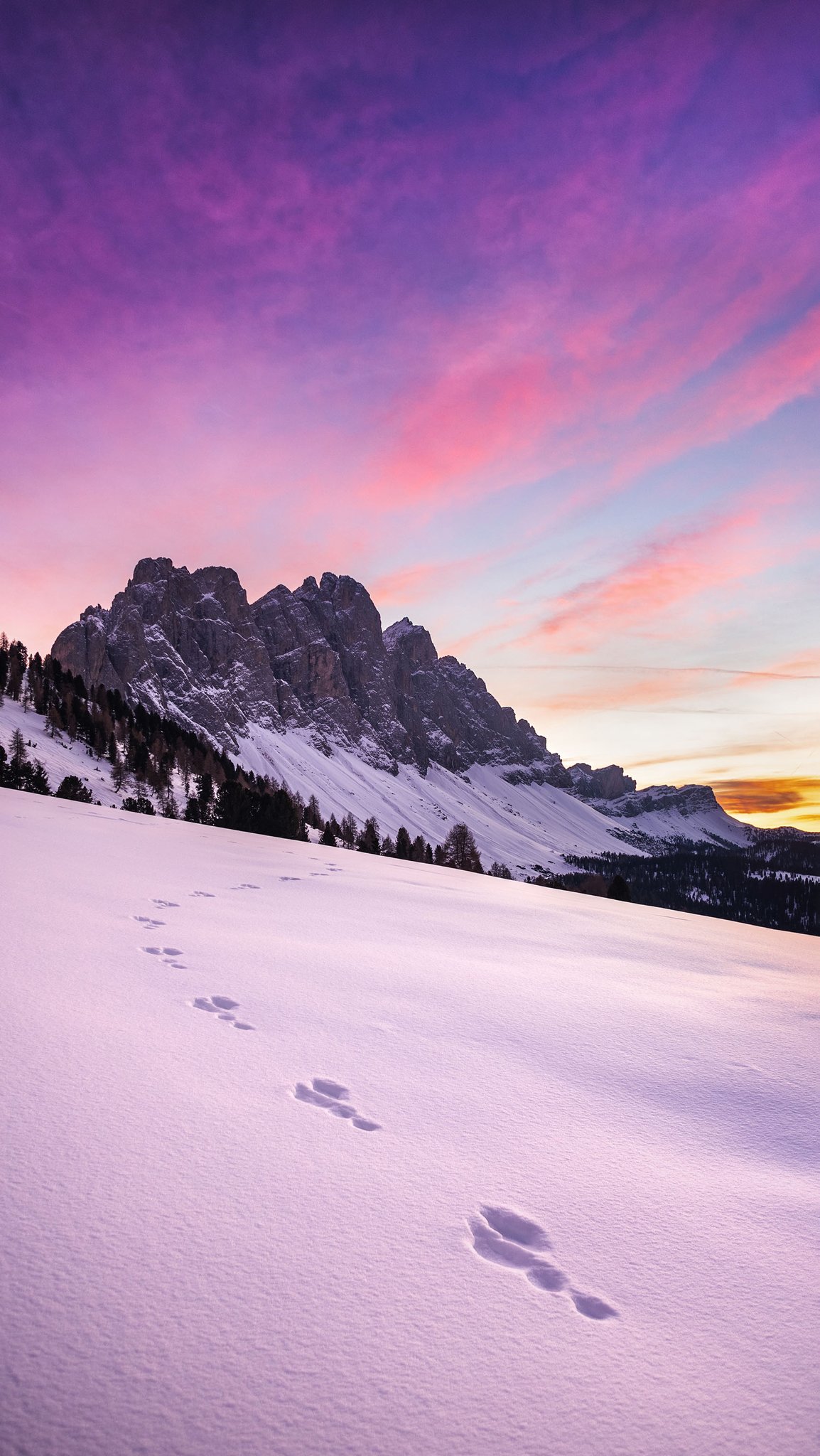 QHD Wallpapers on Twitter: “Image By: Marek Piwnicki #DownloadTheApp