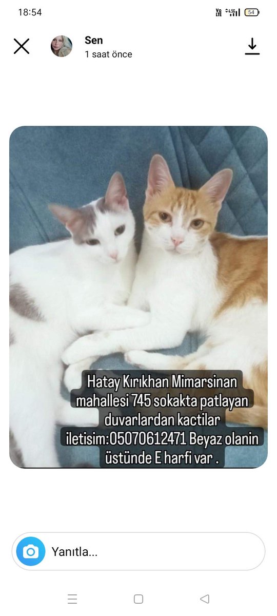 efiloranj's tweet photo. @Badiko_ Ne olur yardım edin https://t.co/Nci77mAGZl