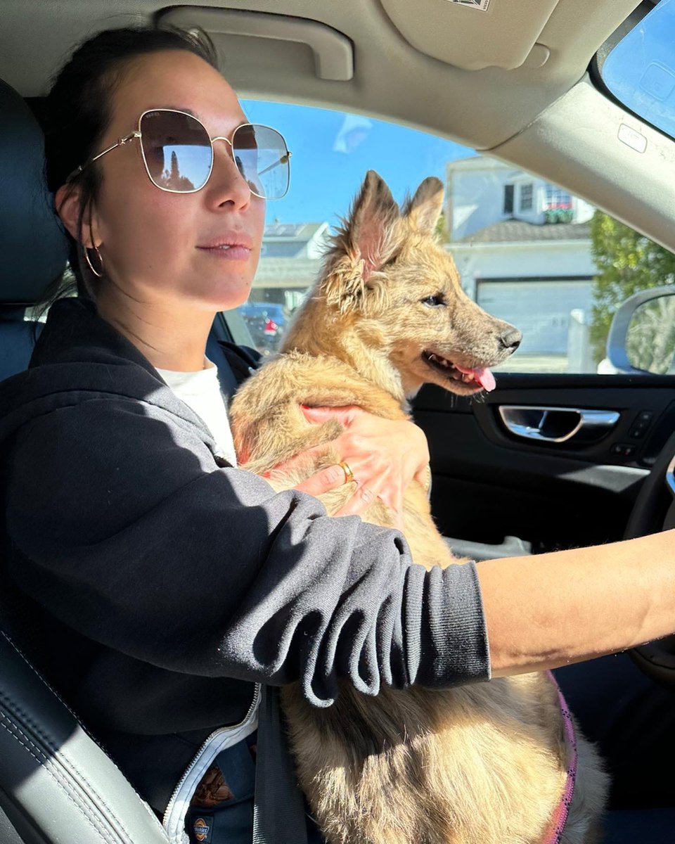 Johnny Knoxville on Instagram: “Happy Valentine’s Day to my beautiful love. What a lucky man I am! ❤️”