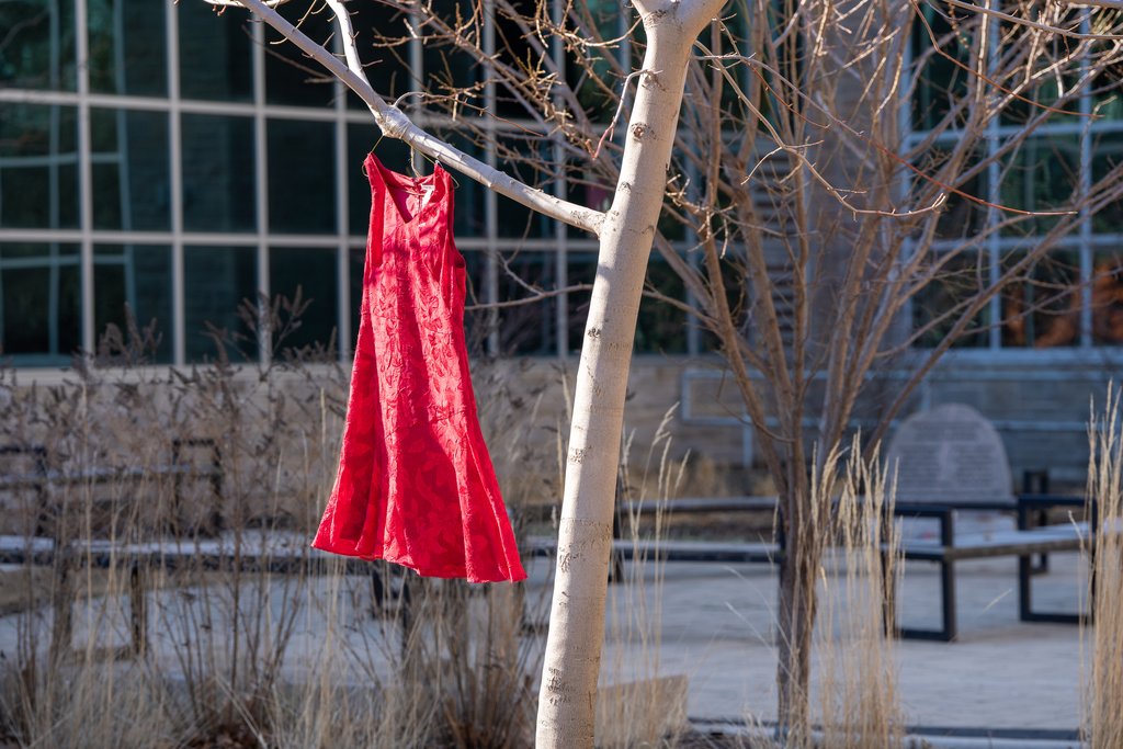 McMasterU's tweet photo. Starting today, red dresses will be hung throughout campus as part of The REDress Project — an art installation drawing attention to the ongoing crisis of Missing and Murdered Indigenous Women. Learn more here: https://t.co/S4xrNNhFVm |@EIOMcMaster https://t.co/2omcNNIsGs